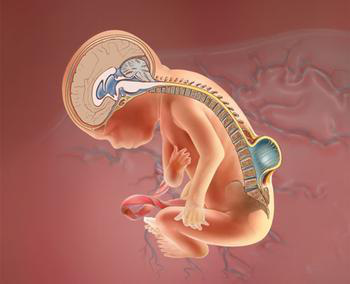 鸿运国际·(中国)最新官方网站