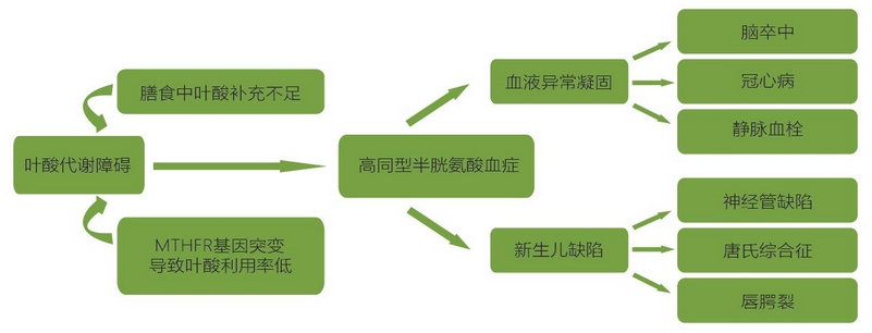 鸿运国际·(中国)最新官方网站