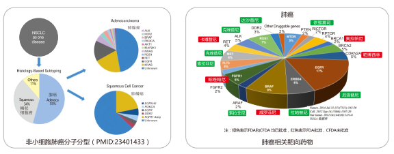 鸿运国际·(中国)最新官方网站