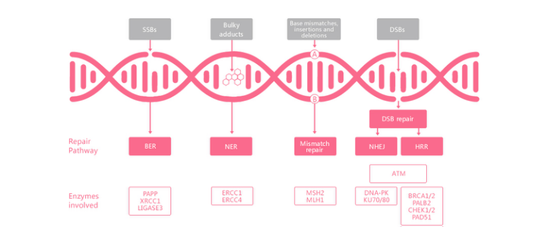 鸿运国际·(中国)最新官方网站