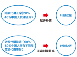鸿运国际·(中国)最新官方网站