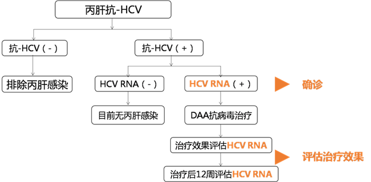 鸿运国际·(中国)最新官方网站