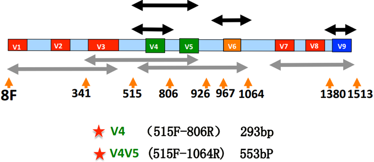 鸿运国际·(中国)最新官方网站