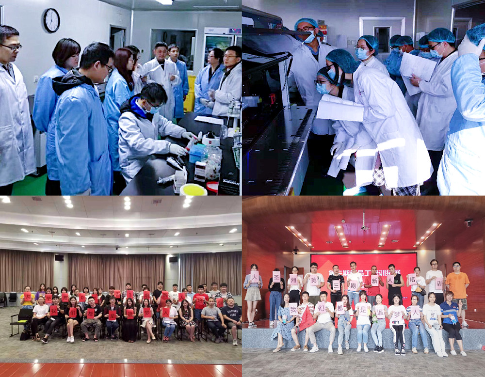 鸿运国际·(中国)最新官方网站