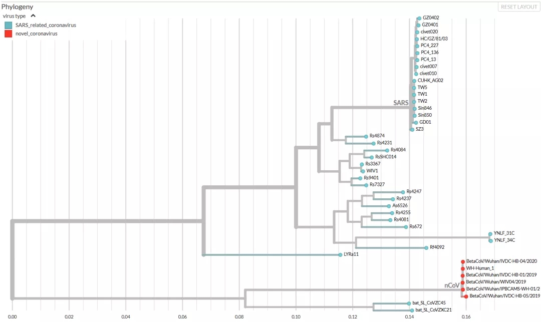 鸿运国际·(中国)最新官方网站