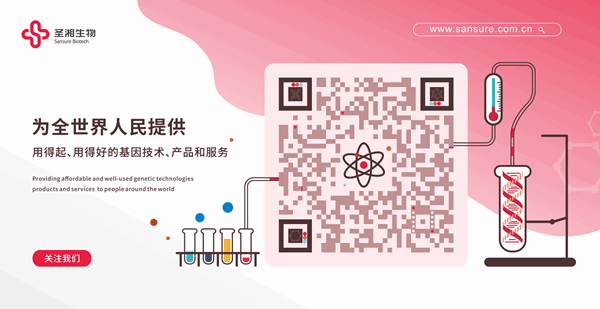 鸿运国际·(中国)最新官方网站