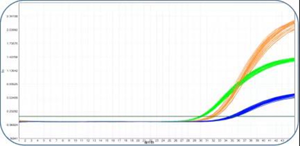 鸿运国际·(中国)最新官方网站