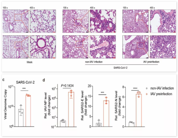 鸿运国际·(中国)最新官方网站