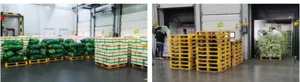 鸿运国际·(中国)最新官方网站