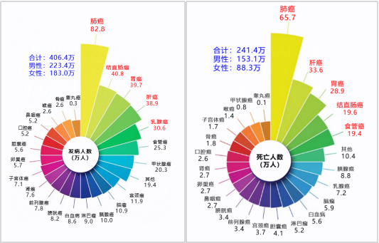 鸿运国际·(中国)最新官方网站